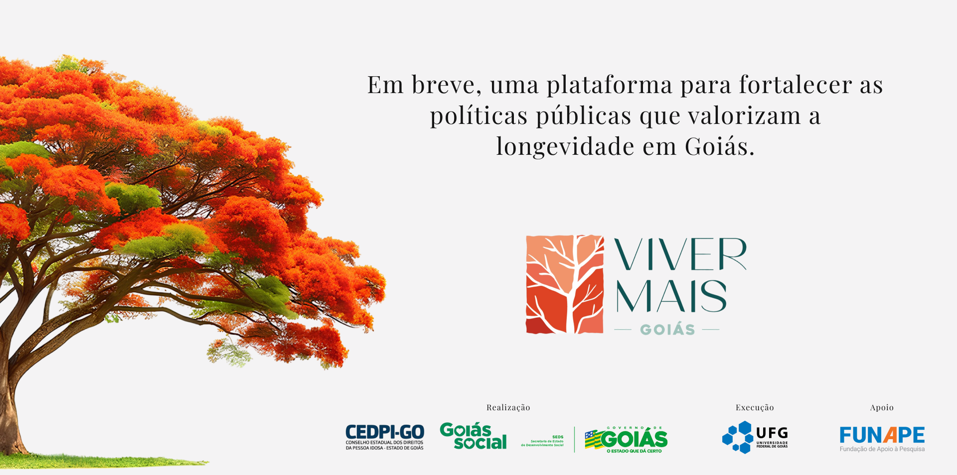 Folder institucional do Viver+ Goiás