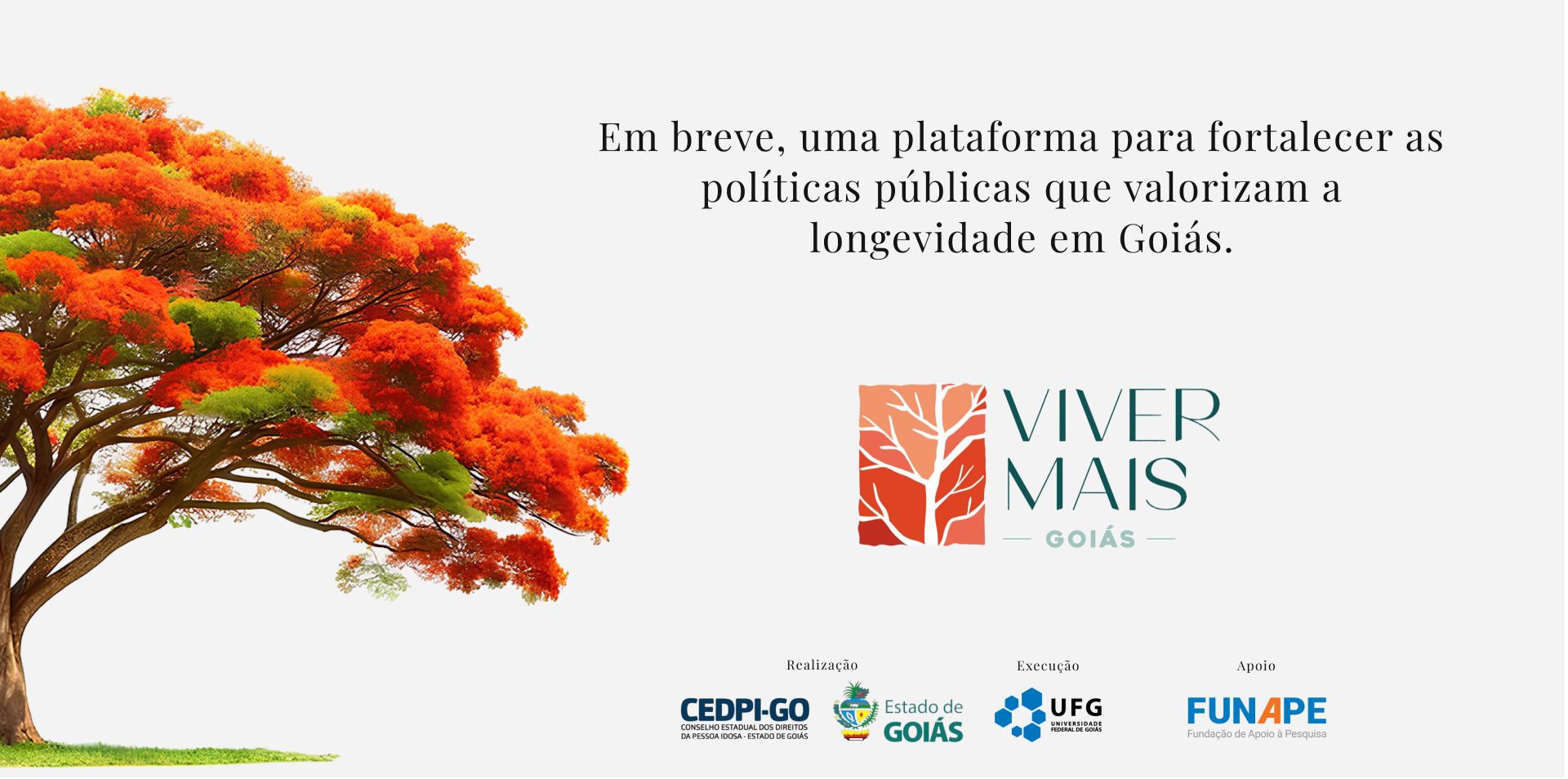 Folder institucional do Viver+ Goiás